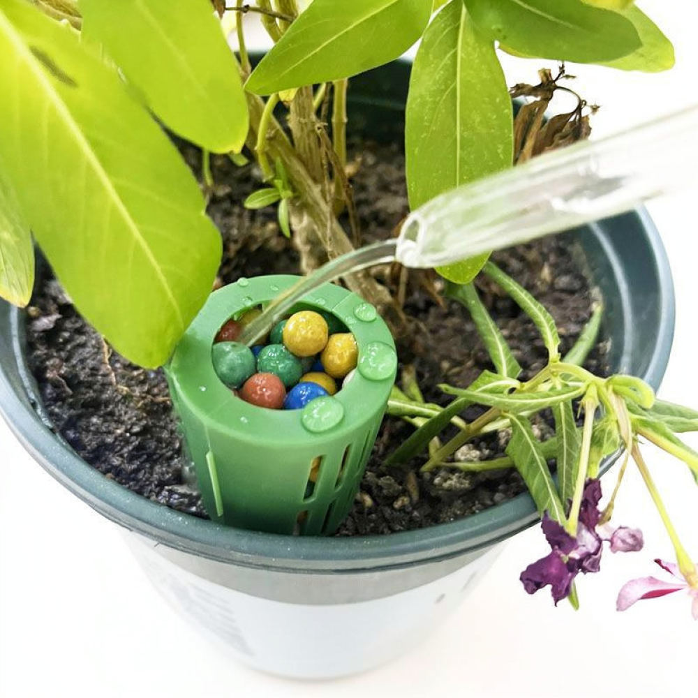 Mestbox voor bonsaiplanten, tu - Gardening Tools Essential recensie en prijs
